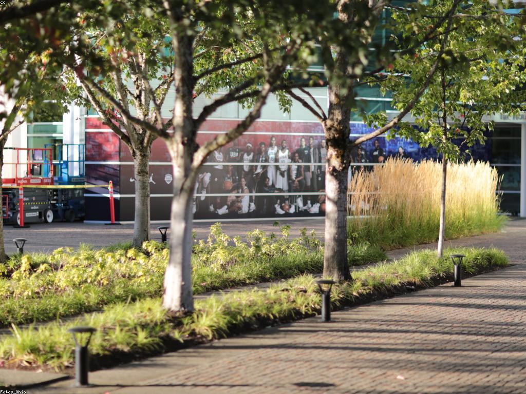 យុទ្ធសាស្ត្រដ៏មានប្រសិទ្ធភាពសម្រាប់ការផ្សព្វផ្សាយនៅលើបណ្ដាញសង្គម